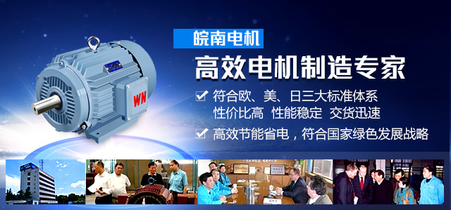 皖南电机：安博官方网页版制造专家