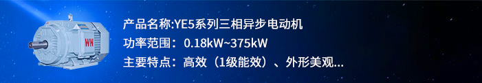 YE5系列超安博官方网页版